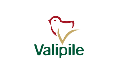 Valipile